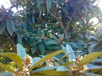 201212041695.jpg
