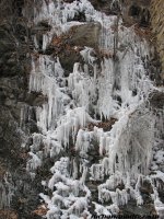 IMG_4640.jpg