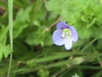 PIC_3290.JPG