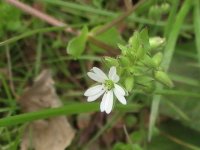 PIC_3282.JPG