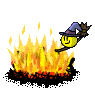 86919_kvasthexa.gif