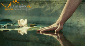 216369_9qaykz0l.gif