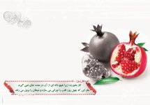 sabk116_149732.jpg