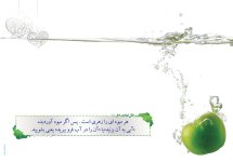 sabk121_150008.jpg