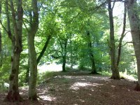 20100709800.jpg