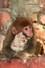 browse_055.jpg