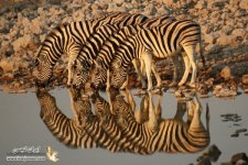 1283802705reflection-photography-21.jpg