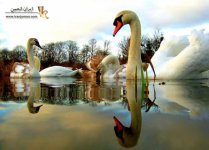 1283802705reflection-photography-22.jpg