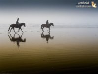 1283802705reflection-photography-30.jpg