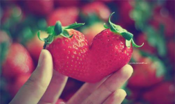 love-strawberry.png love-strawberry.png